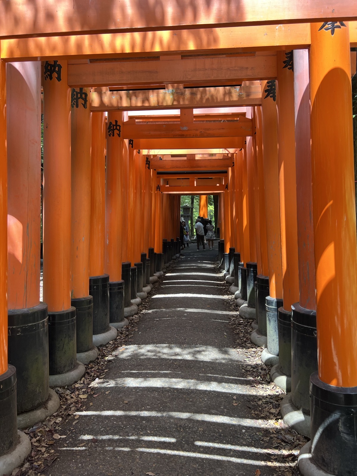 Fushimi Inari — the torii path in the morning