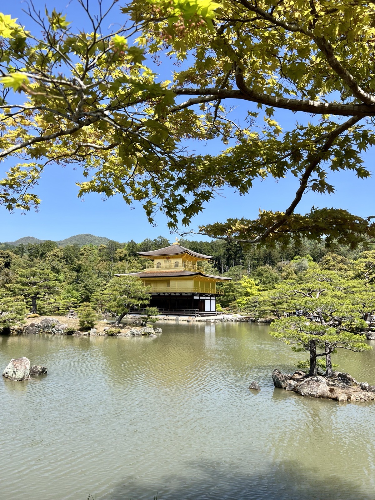 Kinkaku-ji across the pond